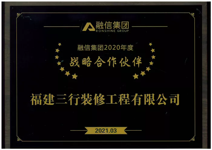 战略合作伙伴奖